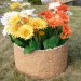 Цветник КАНЬОН купить в Жердевке